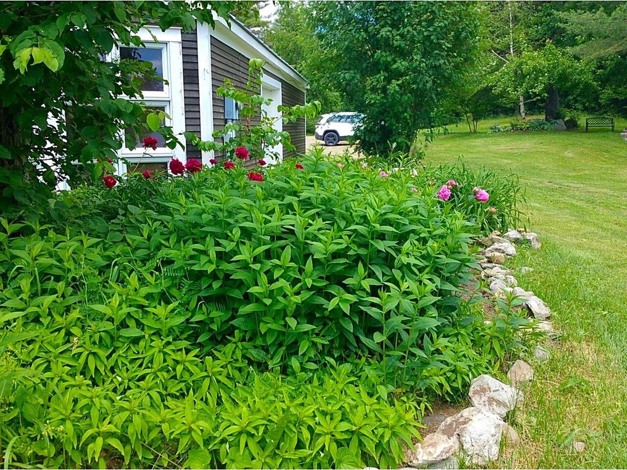 542 Geary Road North Lincoln, VT 05443 - Photo 39 of 40 Gallery Image 39