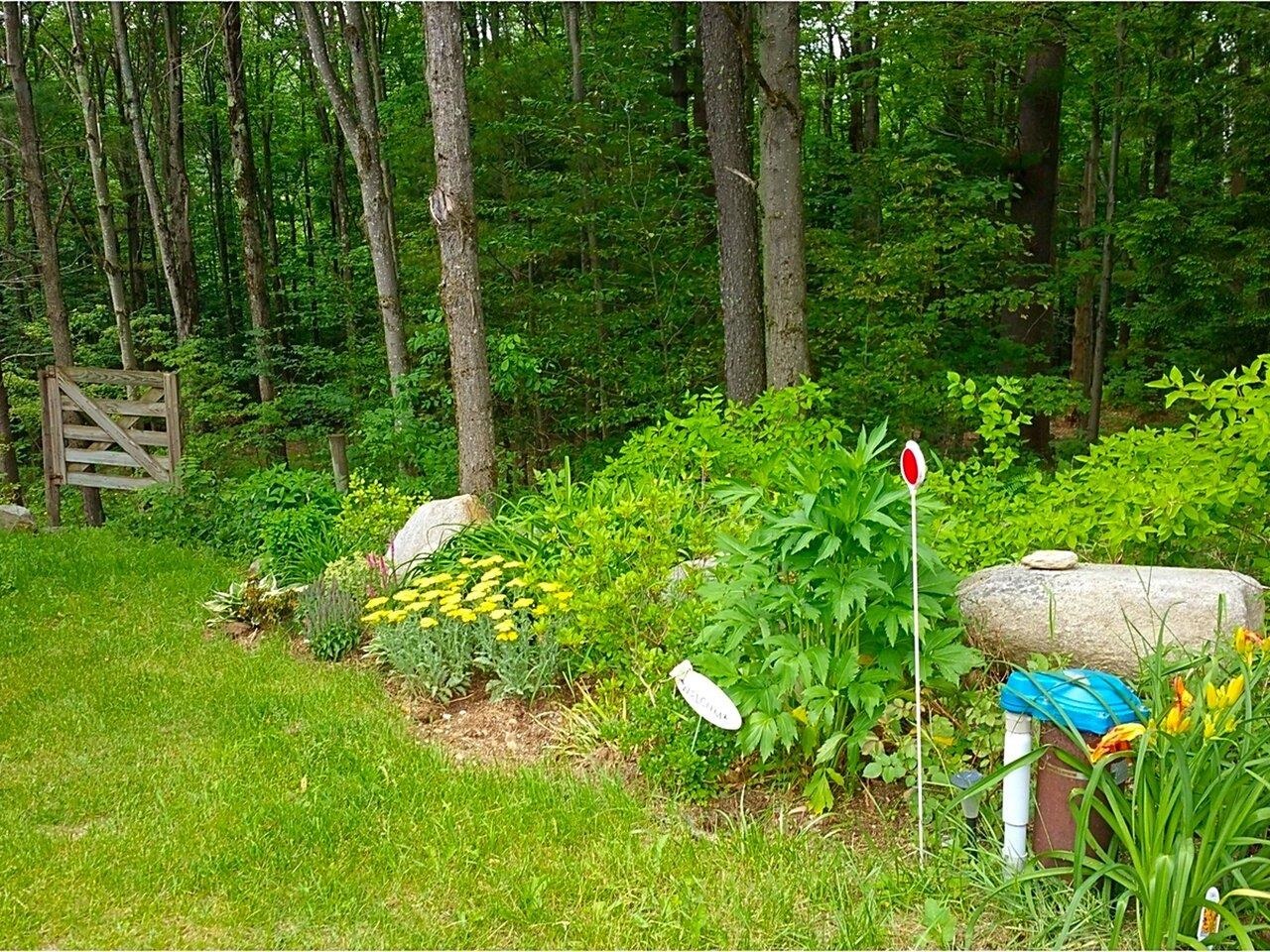 542 Geary Road North Lincoln, VT 05443 - Photo 40 of 40 Gallery Image 40