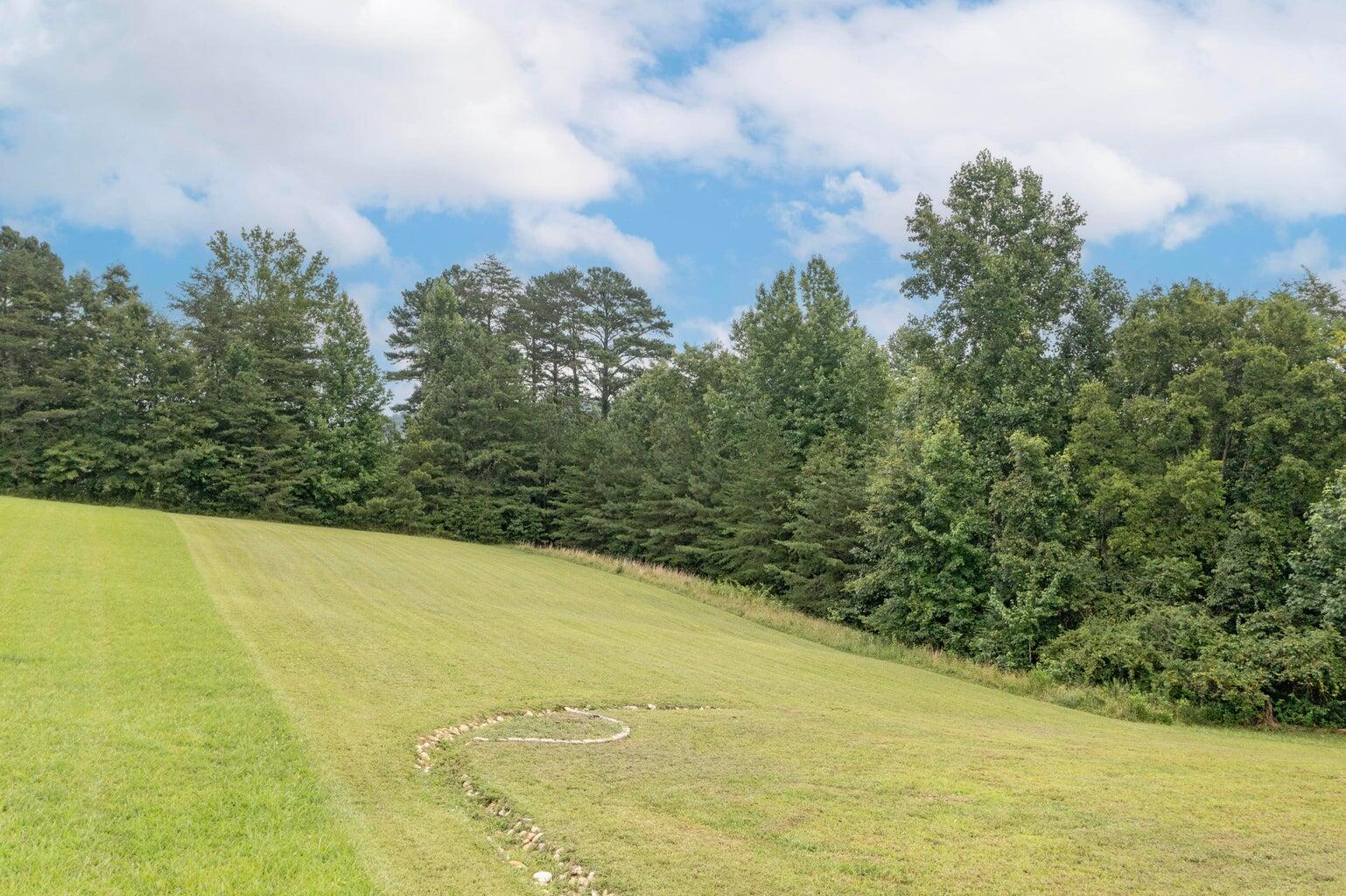 725 Riddle Road Dayton, TN 37321 - Photo 22 of 33 Back Yard
