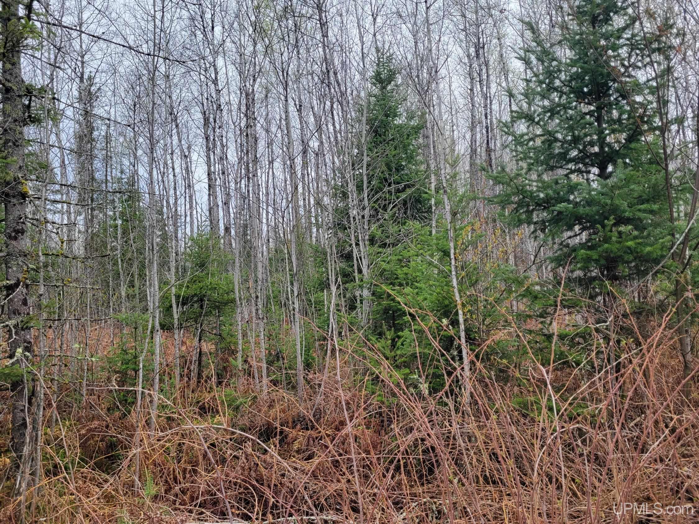 5 Camp 5 Road Crystal Falls, MI 49920 - Photo 2 of 5