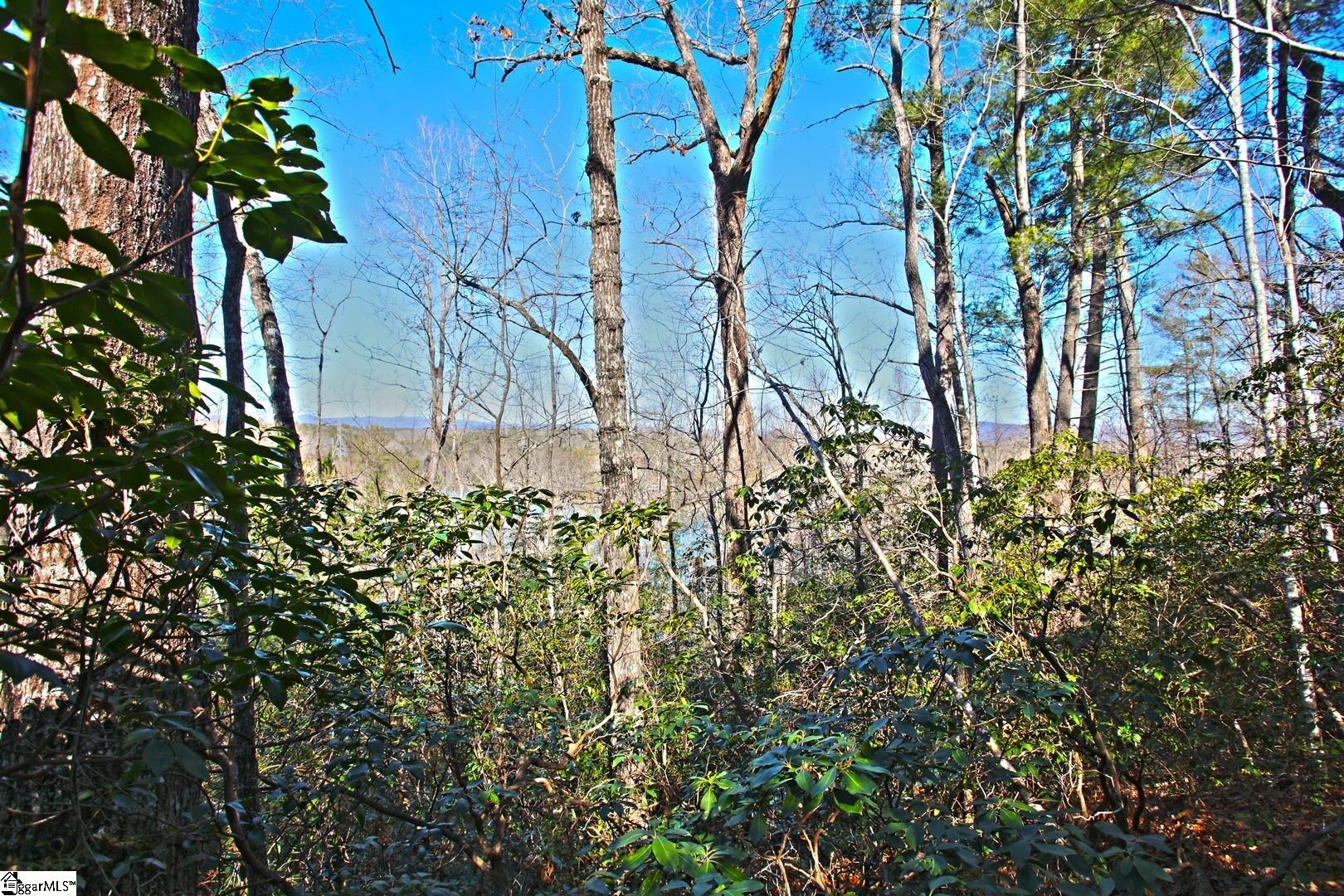 32 Bay Ridge Drive Salem, SC 29676 - Photo 12 of 36 Gallery Image 12