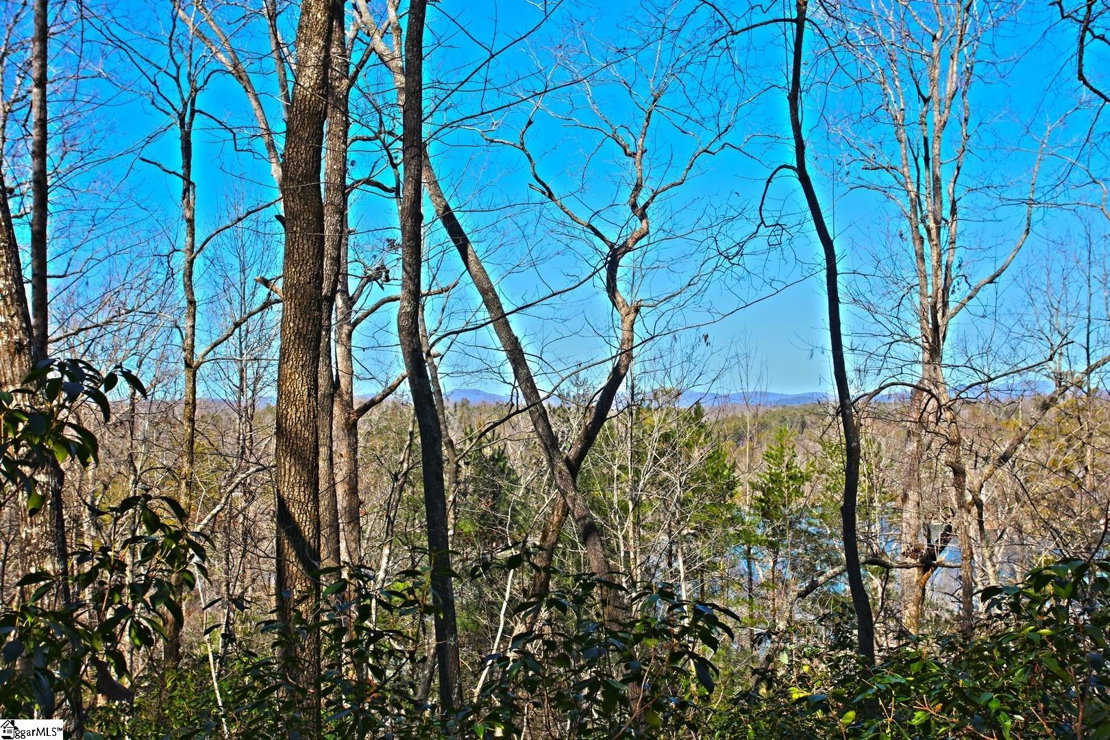 32 Bay Ridge Drive Salem, SC 29676 - Photo 5 of 36 Gallery Image 5