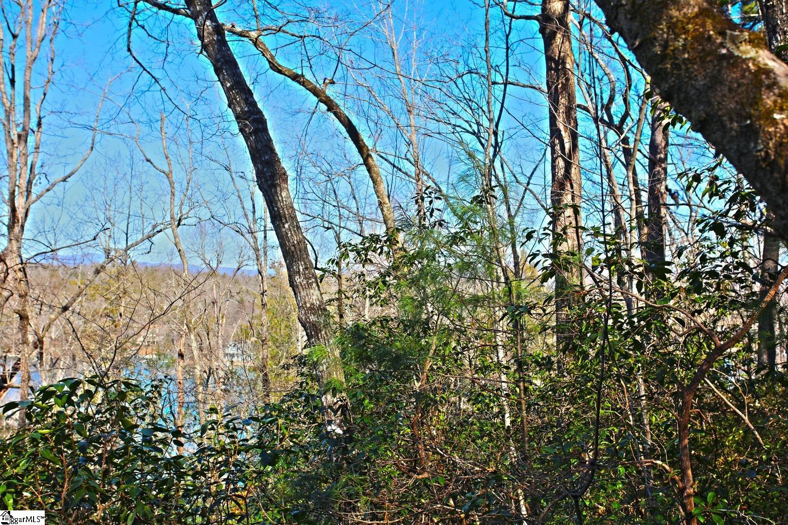 32 Bay Ridge Drive Salem, SC 29676 - Photo 7 of 36 Gallery Image 7