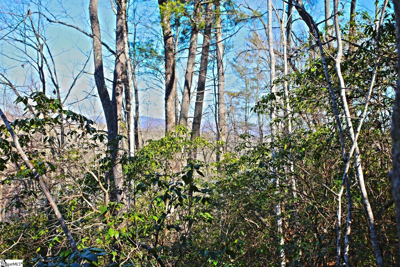 32 Bay Ridge Drive Salem, SC 29676 - Photo 8 of 36 Gallery Image 8