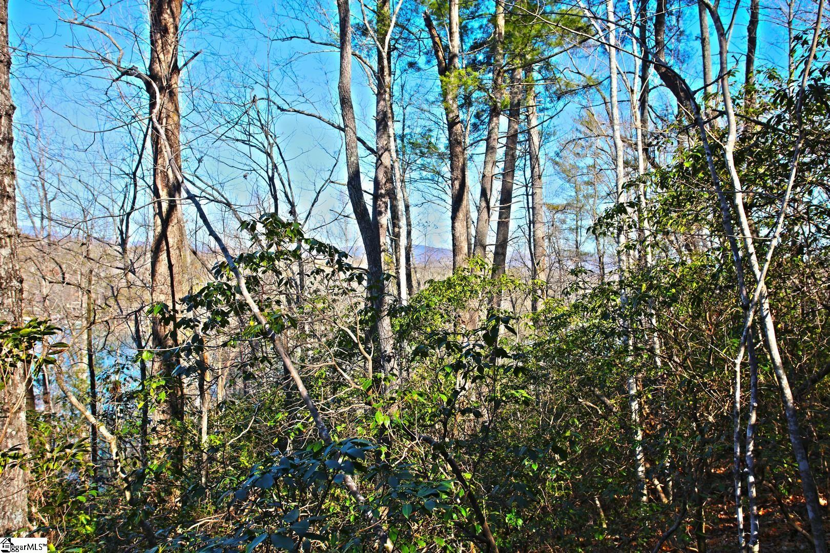 32 Bay Ridge Drive Salem, SC 29676 - Photo 9 of 36 Gallery Image 9