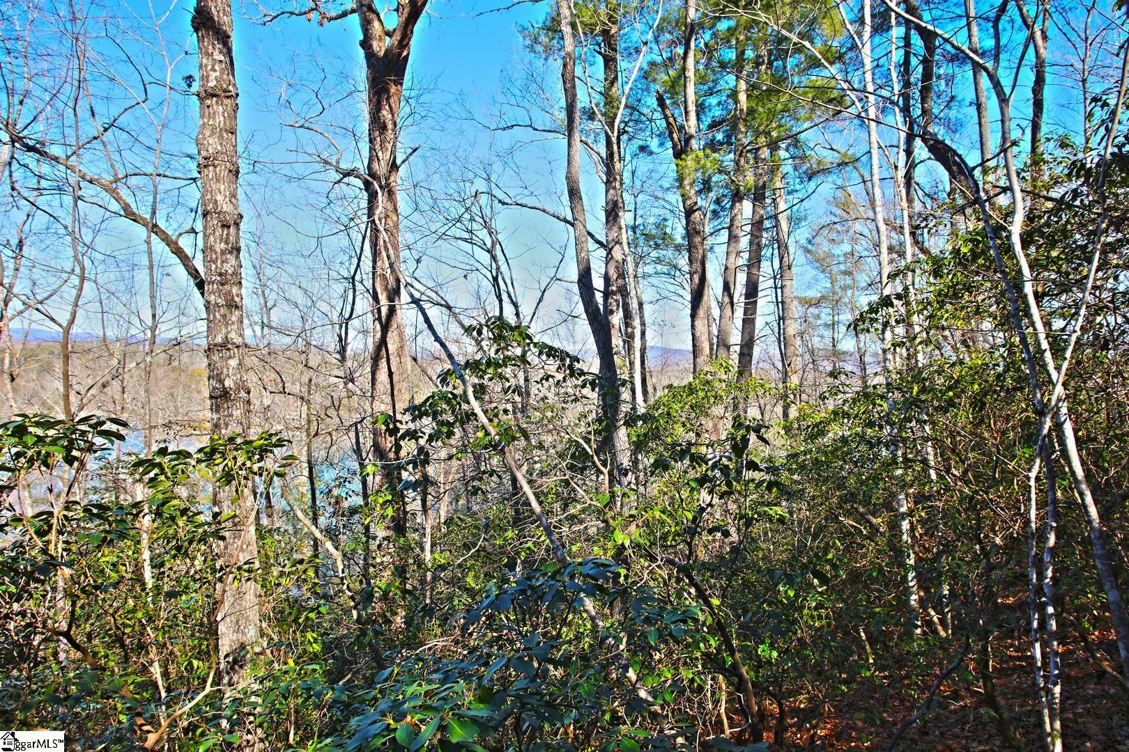 32 Bay Ridge Drive Salem, SC 29676 - Photo 10 of 36 Gallery Image 10
