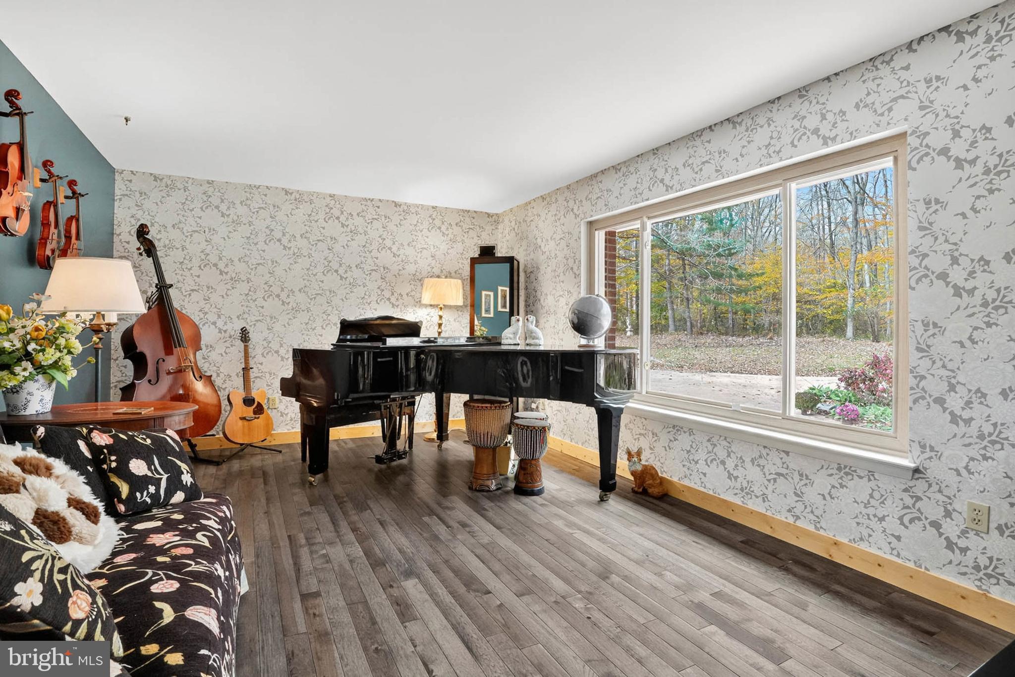 7033 Mink Hollow Road Highland, MD 20777 - Photo 12 of 83 Wall of Windows