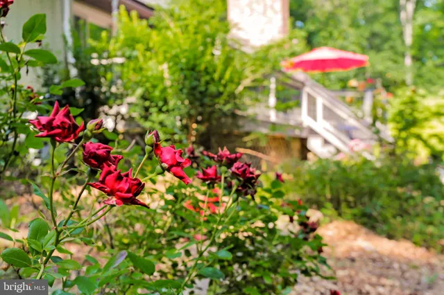 $1,500,000 | 7033 Mink Hollow Road, Highland, MD 20777