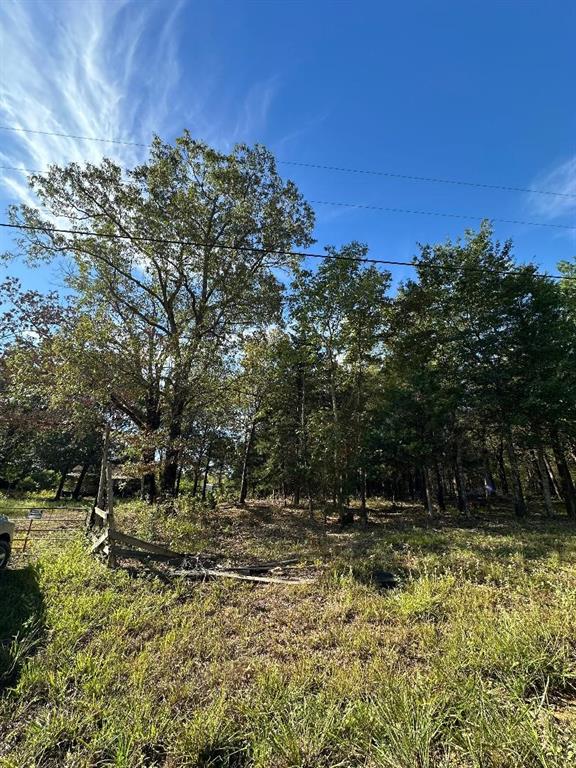 234 Private Road Powderly, TX 75473 - Photo 5 of 8 View of yard
