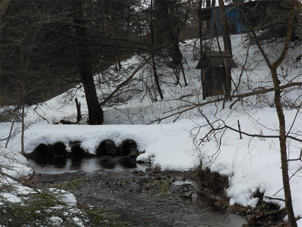 22-acres Fowler Road Westfield, MA 01085 - Photo 6 of 7 Gallery Image 6
