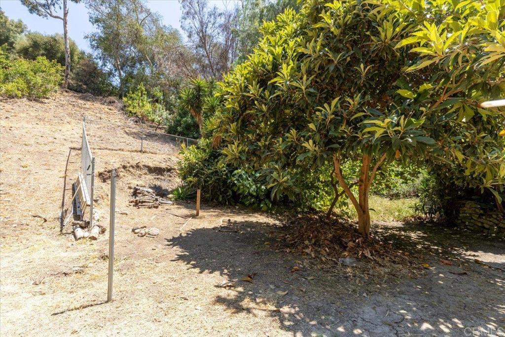 5488 New Mills Road San Diego, CA 92115 - Photo 11 of 17 a view of a yard with large trees