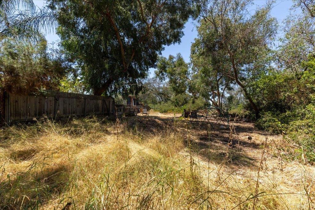 5488 New Mills Road San Diego, CA 92115 - Photo 14 of 17 a view of backyard with tree