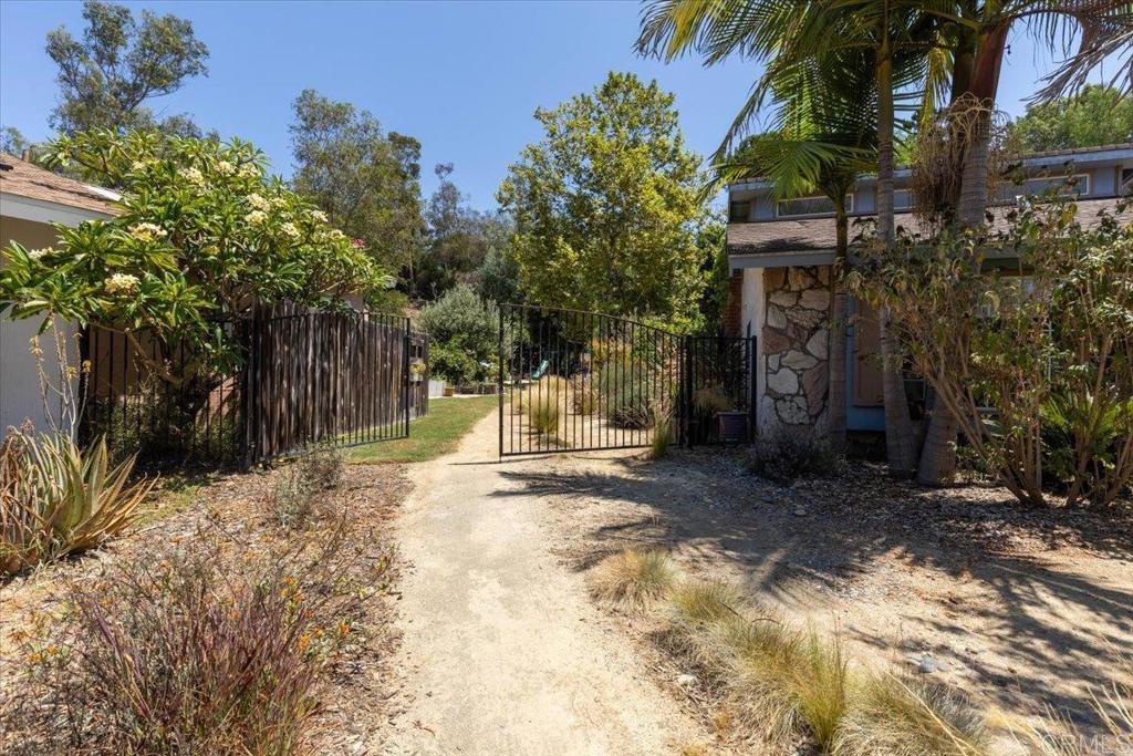 5488 New Mills Road San Diego, CA 92115 - Photo 16 of 17 a view of a yard with plants and trees