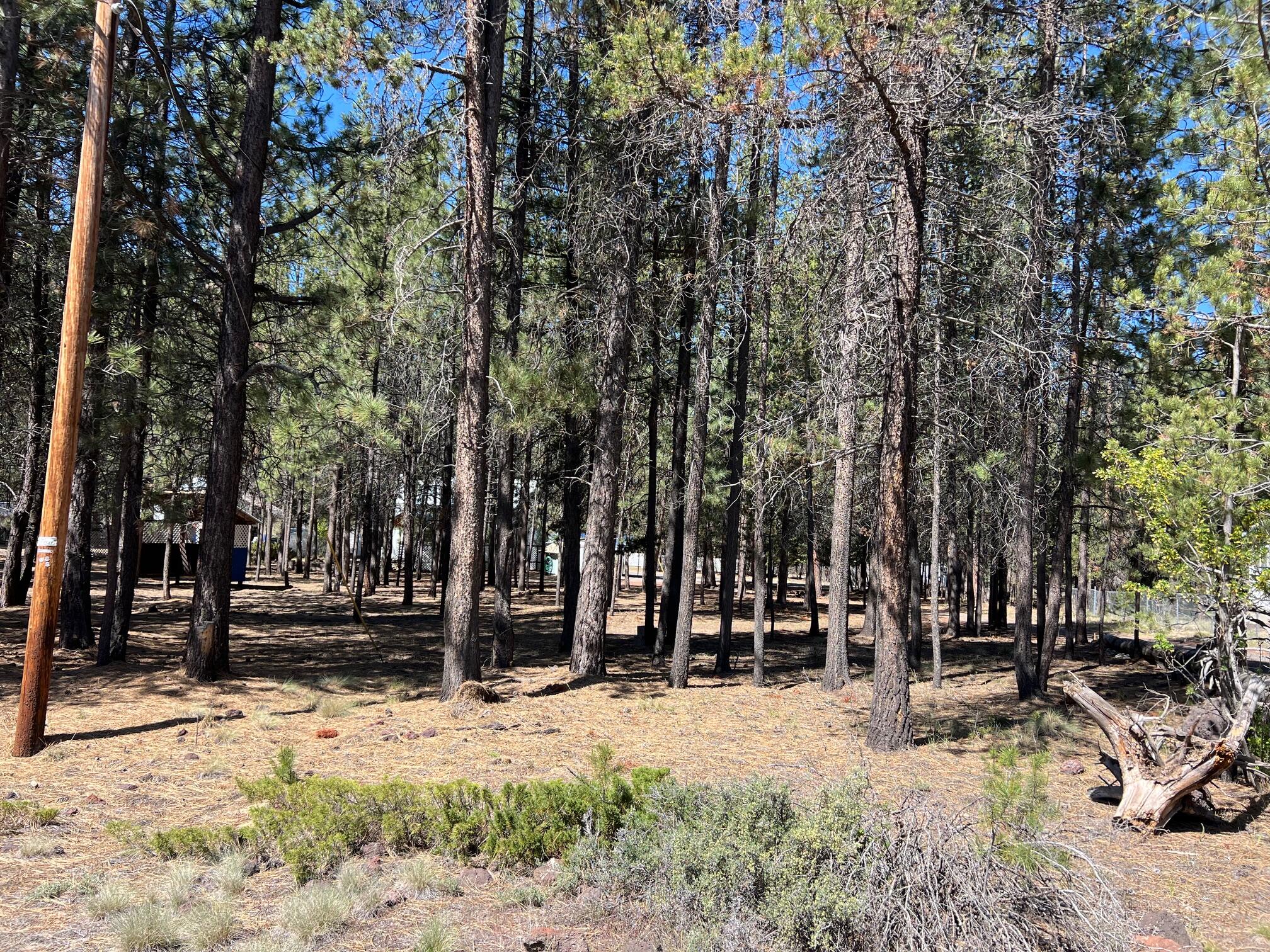 52360 Ammon Road La Pine, OR 97739 - Photo 49 of 49 IMG_1688
