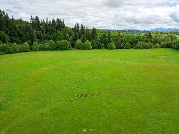 $1,500,000 | 732 Satsop Road West, Montesano, WA 98563