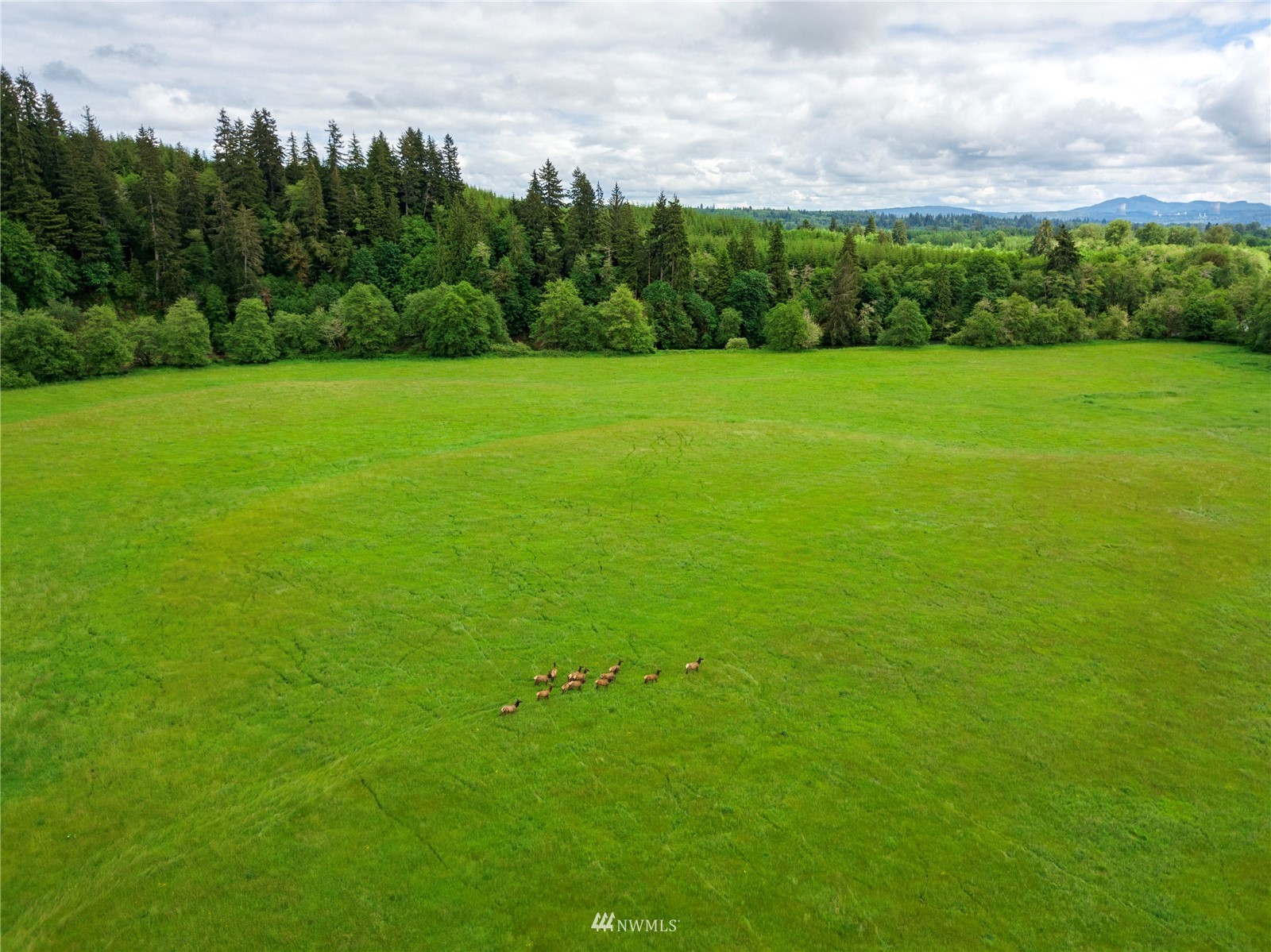 732 Satsop Road West Montesano, WA 98563 - Photo 28 of 39