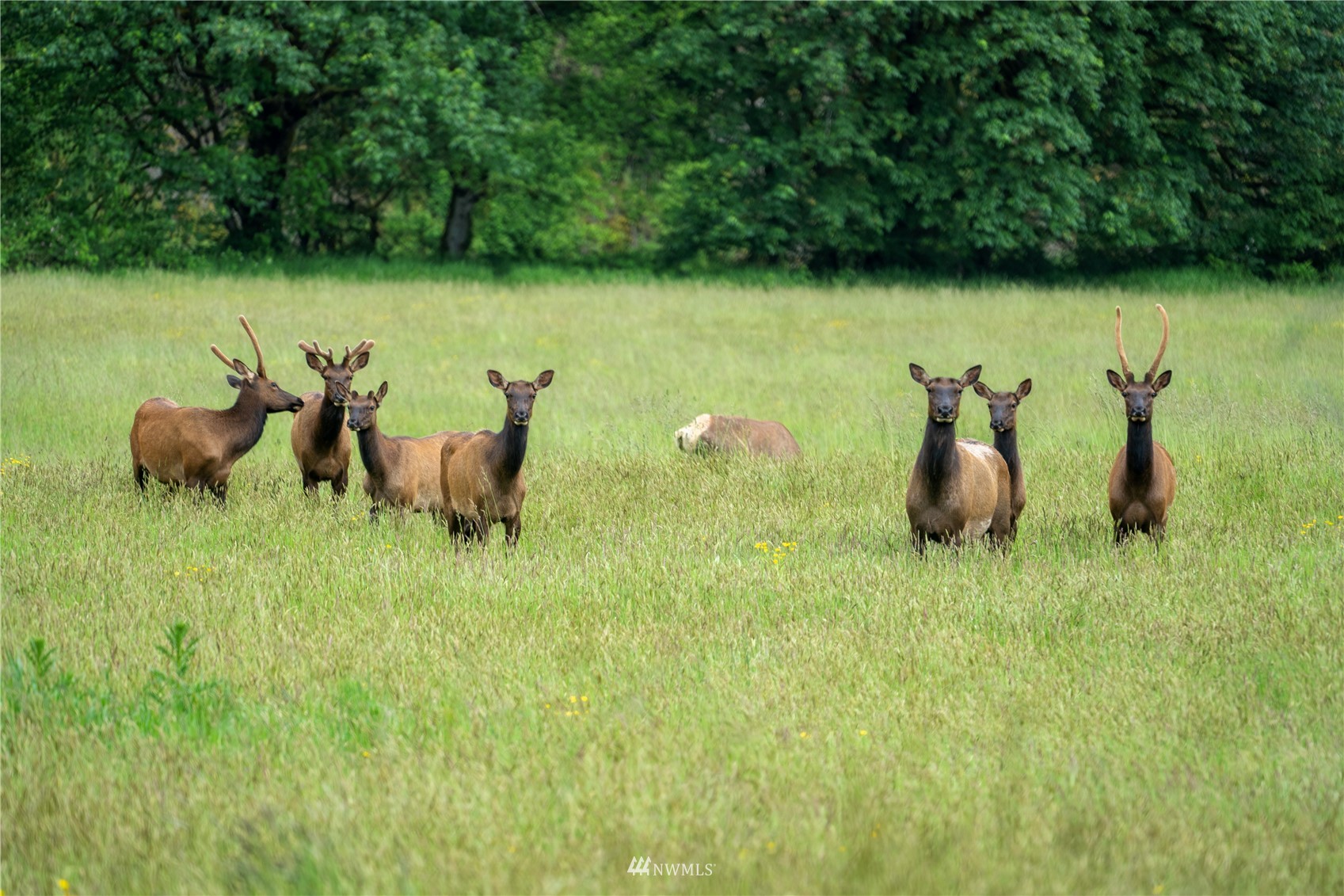 732 Satsop Road West Montesano, WA 98563 - Photo 29 of 39