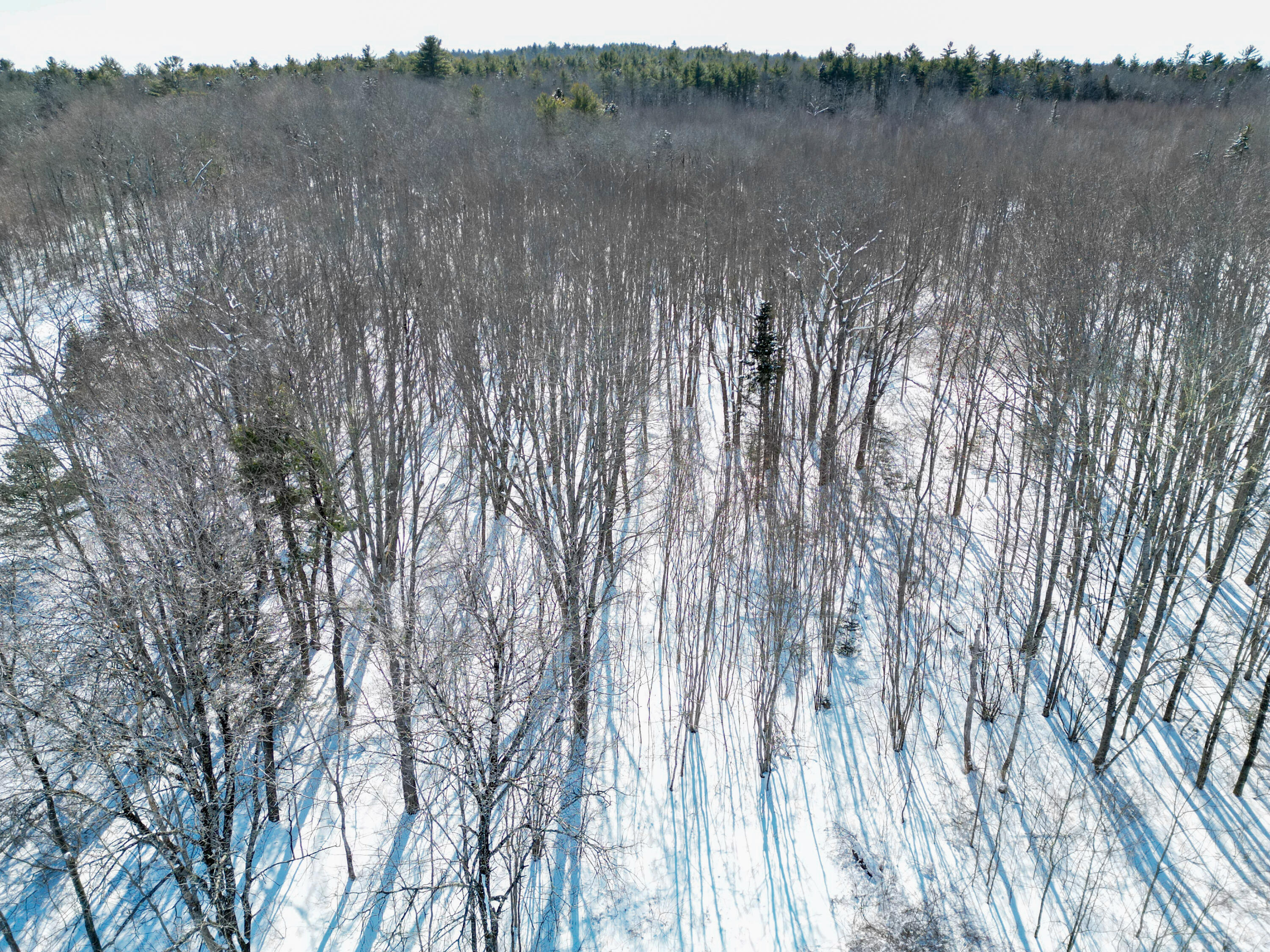 205 Ralph Wink Road Waldoboro, ME 04572 - Photo 5 of 5