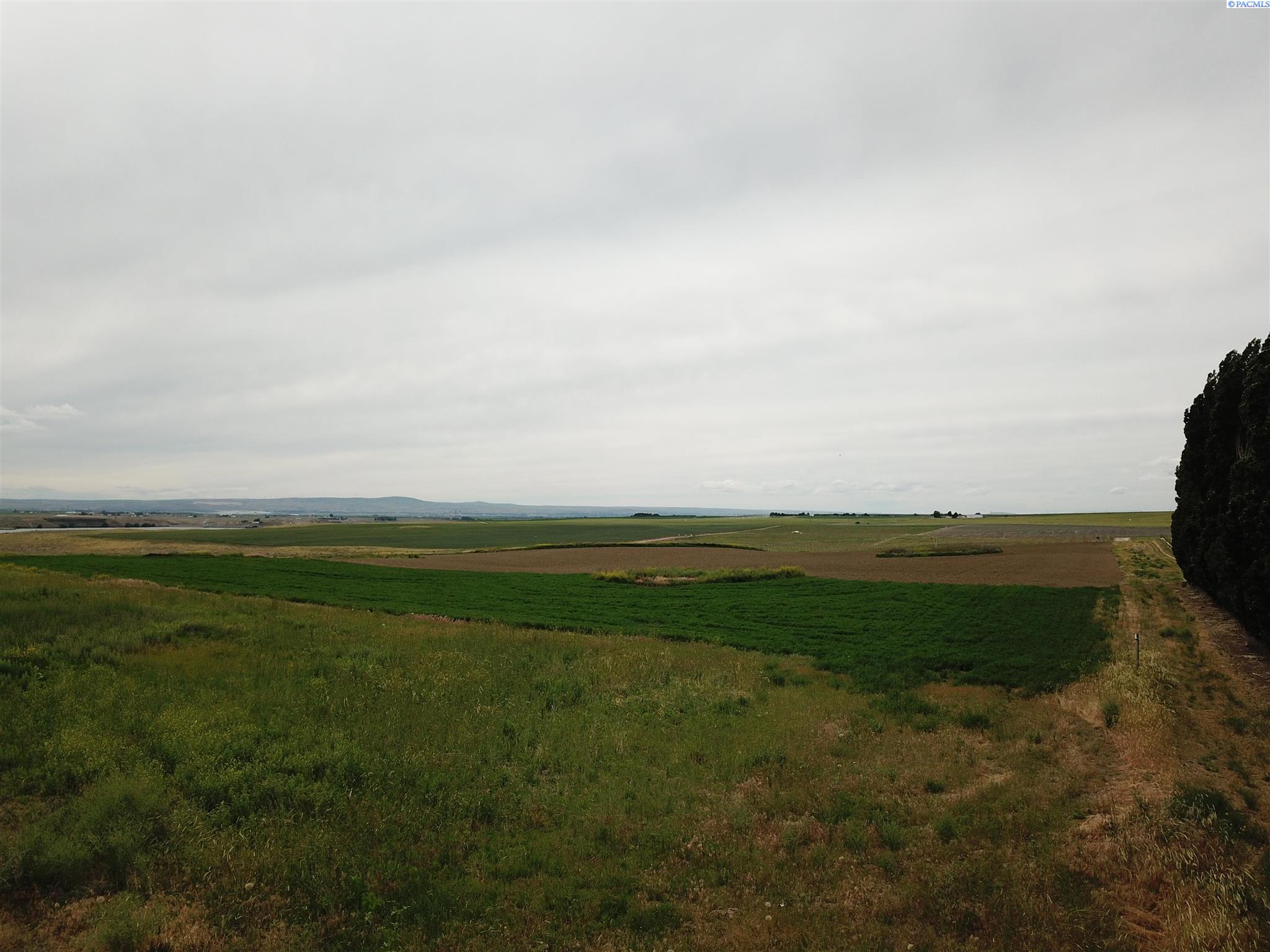 Nka Levey Road Pasco, WA 99301 - Photo 1 of 1 Gallery Image 1