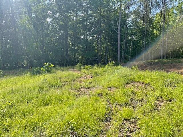 6283 Cooley Road Harrison, TN 37341 - Photo 11 of 20 a backyard of a house with lots of green space