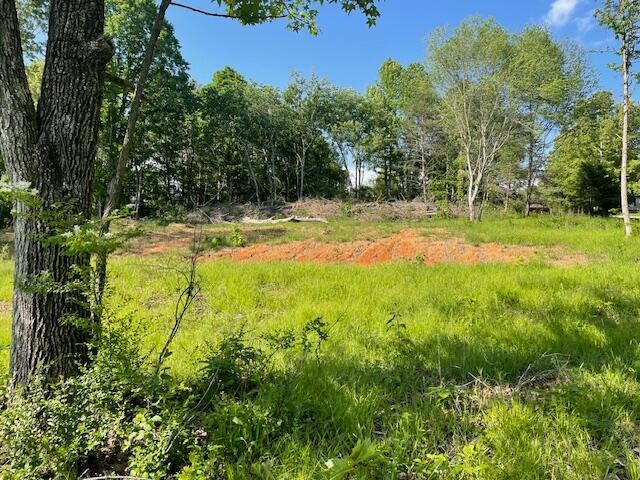 6283 Cooley Road Harrison, TN 37341 - Photo 12 of 20 a view of a yard with swimming pool
