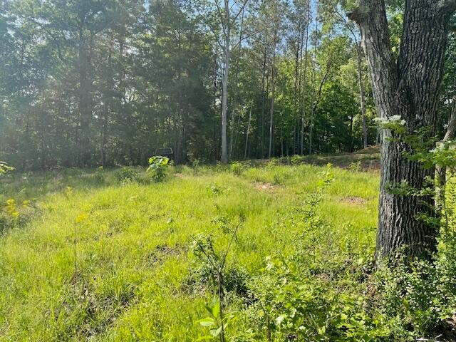 6283 Cooley Road Harrison, TN 37341 - Photo 13 of 20 a view of a yard with large trees