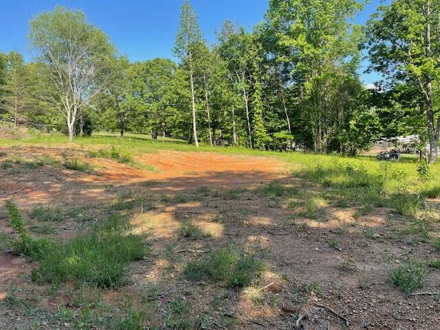 6283 Cooley Road Harrison, TN 37341 - Photo 2 of 20 a view of a yard with a tree