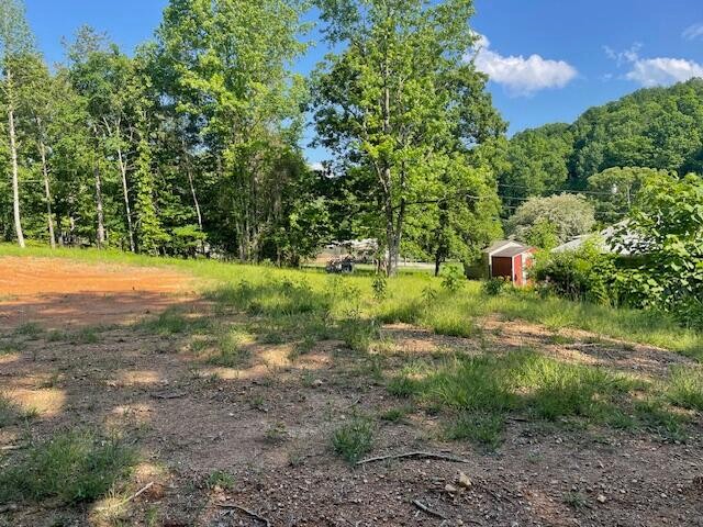 6283 Cooley Road Harrison, TN 37341 - Photo 3 of 20 a view of a field with plants and trees