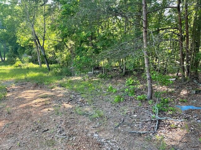 6283 Cooley Road Harrison, TN 37341 - Photo 4 of 20 a view of outdoor space and trees