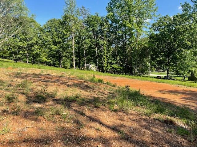 6283 Cooley Road Harrison, TN 37341 - Photo 6 of 20 a view of a yard with a trees