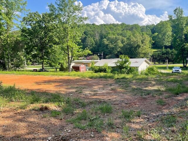 6283 Cooley Road Harrison, TN 37341 - Photo 7 of 20 a view of a park with large trees