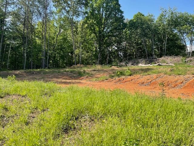 6283 Cooley Road Harrison, TN 37341 - Photo 9 of 20 a view of a yard with a tree