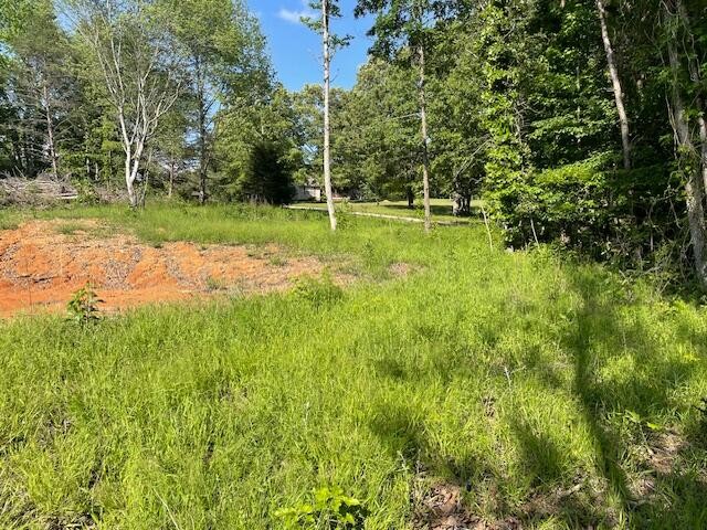 6283 Cooley Road Harrison, TN 37341 - Photo 10 of 20 a view of a park with large trees