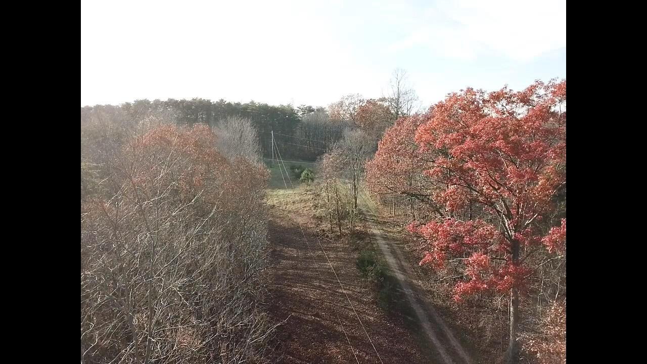 8656 Federal Road Cutler, OH 45724 - Photo 21 of 34 IMG_4071