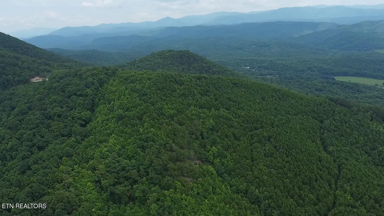 0 Belltown Road Tellico Plains, TN 37385 - Photo 2 of 15