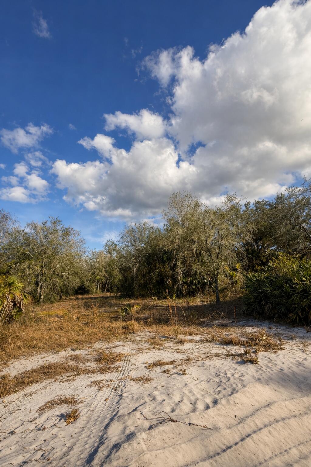 0 Northwest 294th Okeechobee, FL 34972 - Photo 4 of 5 a view of a lake view