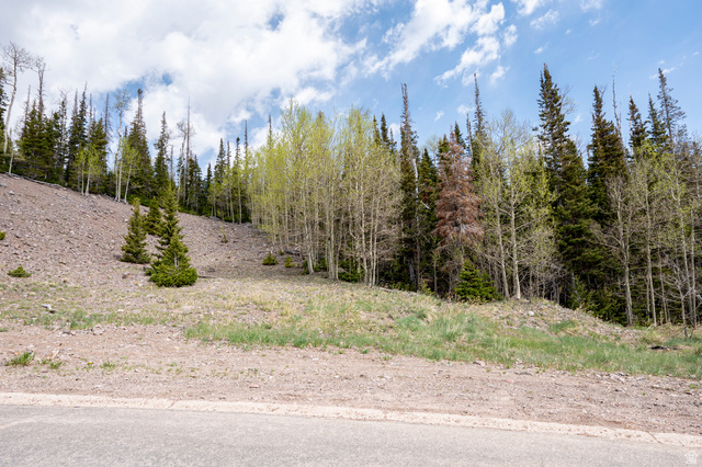 199 Hunter Ridge Drive West Brian Head, UT 84719 - Photo 7 of 15