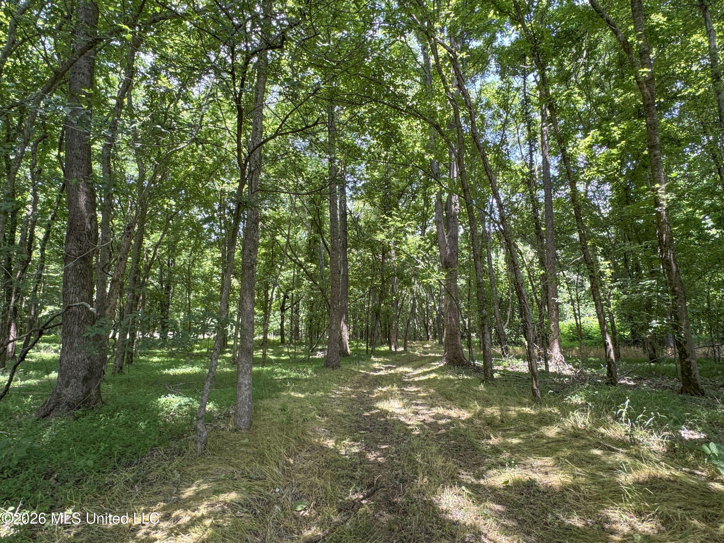 884 Avant Road Crenshaw, MS 38621 - Photo 127 of 154 6dbyicr73