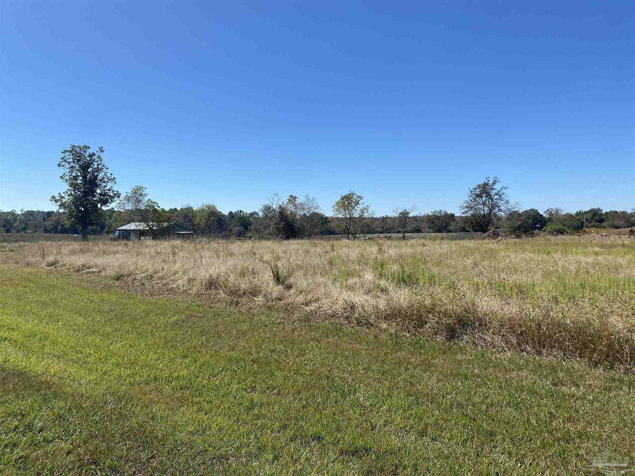 23099 Poplar Road Robertsdale, AL 36567 - Photo 3 of 5