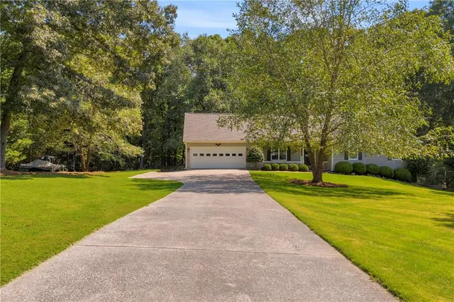 a view of a yard with plants