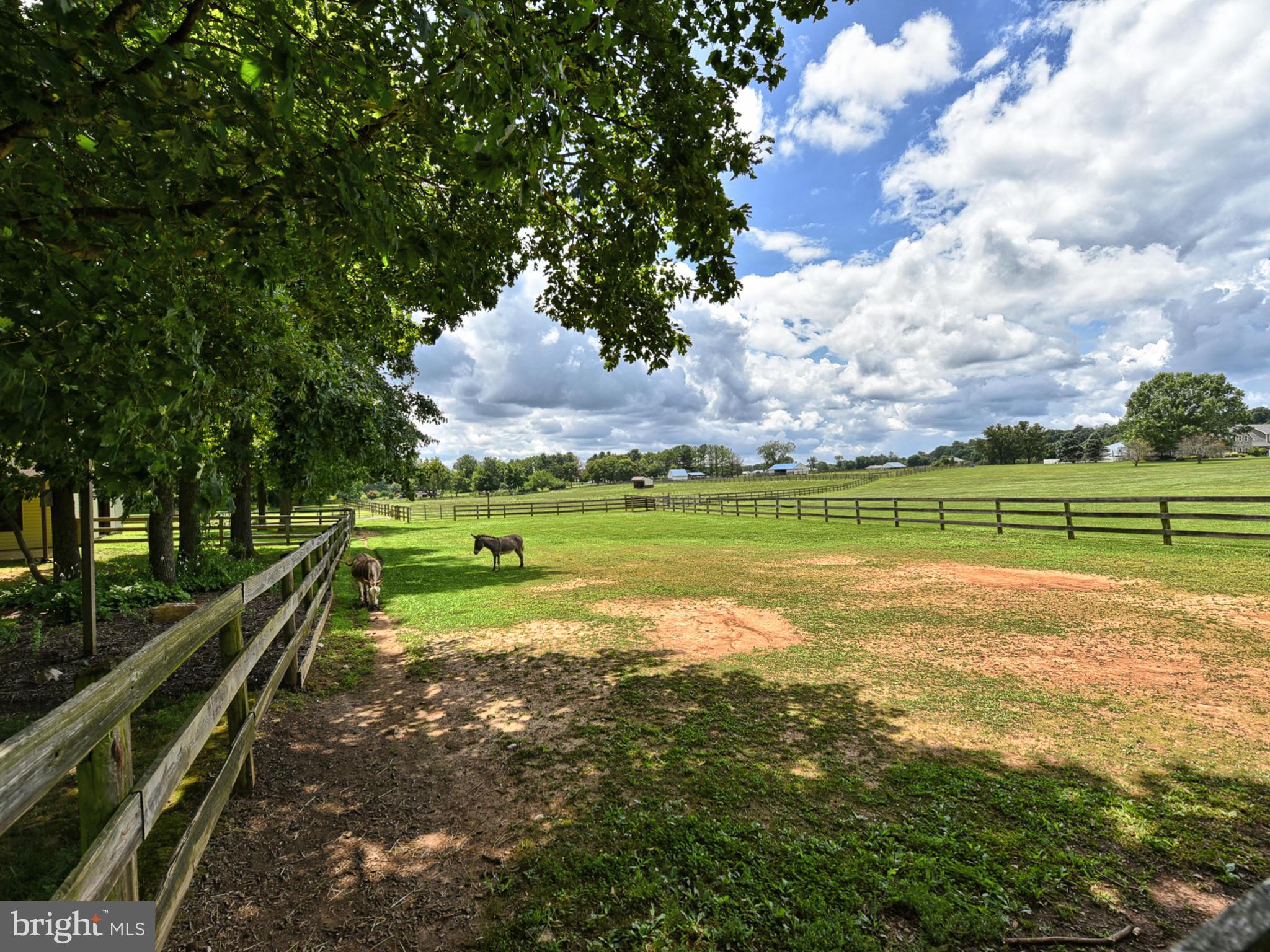 4300 Damascus Road Laytonsville, MD 20882 - Photo 53 of 61 Paddock