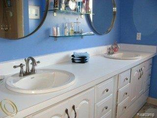 18615 Gill Road Livonia, MI 48152 - Photo 11 of 12 Bath