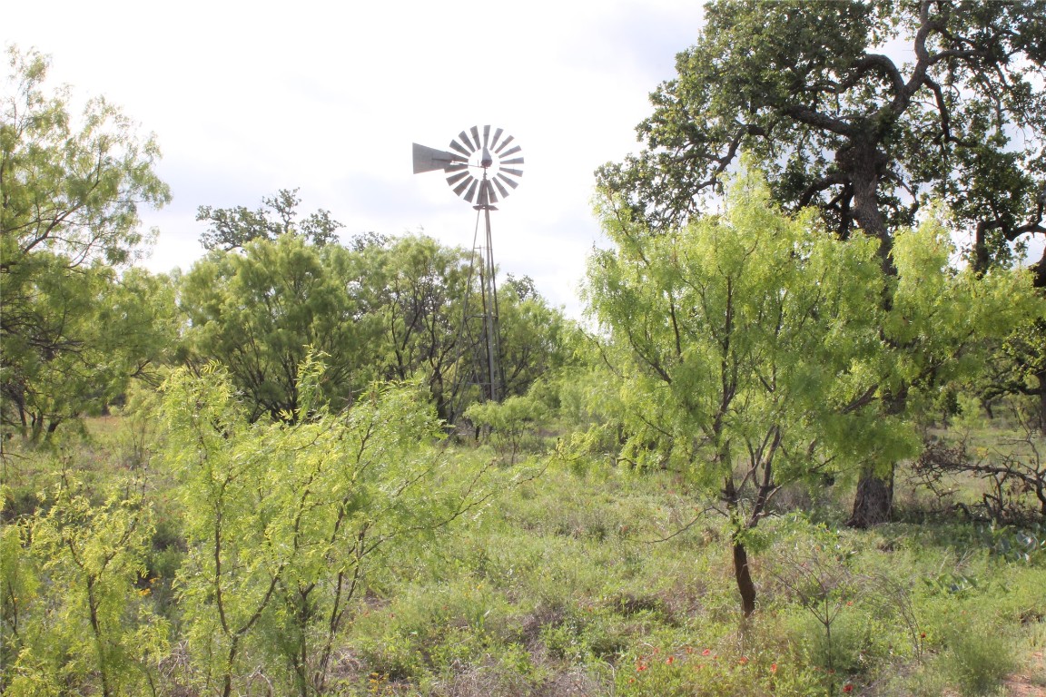8095 Ranch To Market Road 2618 Fredonia, TX 76842 - Photo 35 of 39