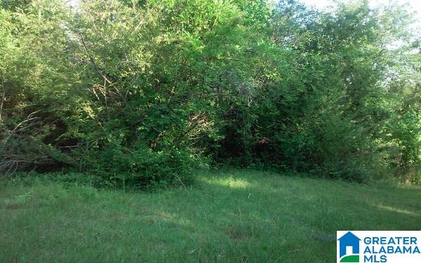 82 County Road, Unit 18 Wedowee, AL 36278 - Photo 11 of 12