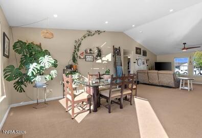 552 Spur Court Fernley, NV 89408 - Photo 14 of 46 a living room with furniture and a potted plant