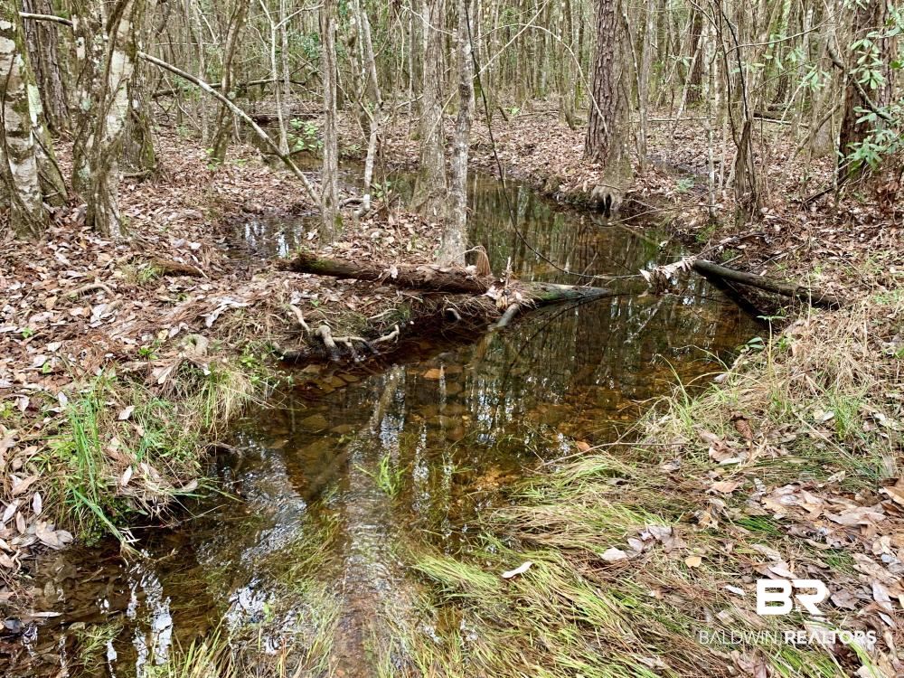 0 Old Ganey Road Stockton, AL 36579 - Photo 3 of 45