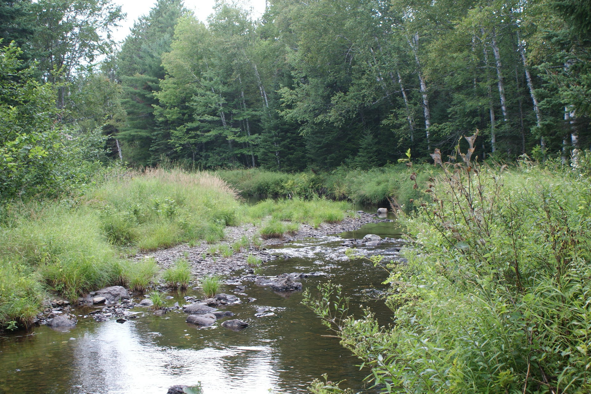 340 Tim Pond Road Eustis, ME 04936 - Photo 5 of 20 DSC05772
