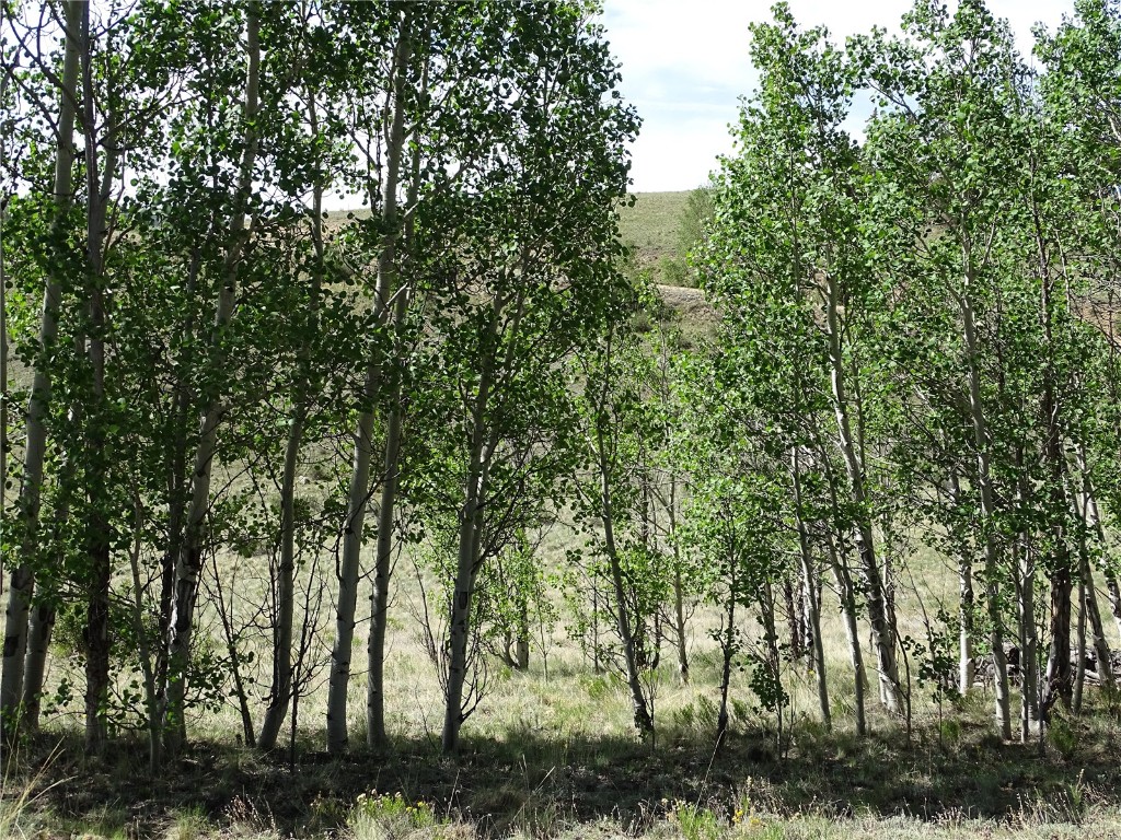 744 Arland Road Como, CO 80432 - Photo 12 of 30 Gallery Image 12