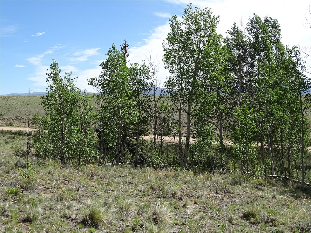 744 Arland Road Como, CO 80432 - Photo 14 of 30 Gallery Image 14