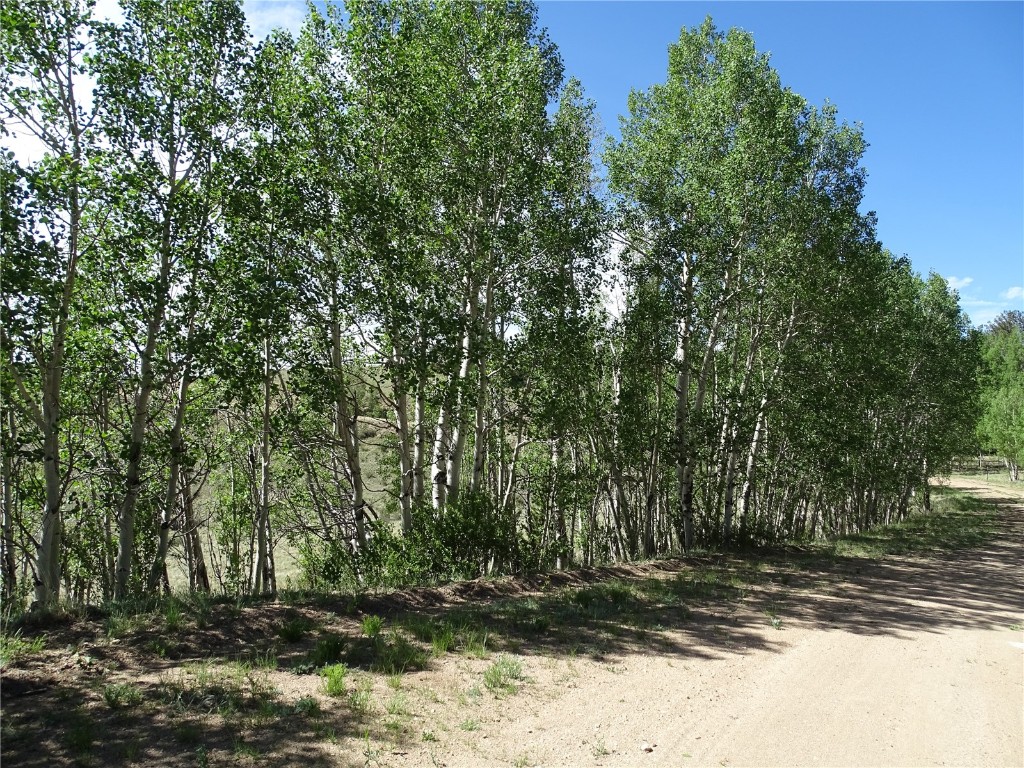 744 Arland Road Como, CO 80432 - Photo 17 of 30 Gallery Image 17